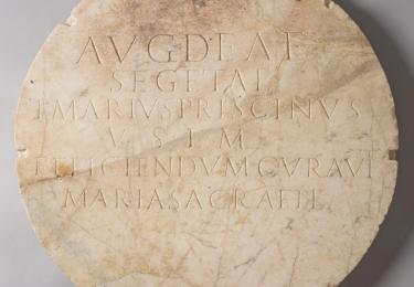 segeta plaque