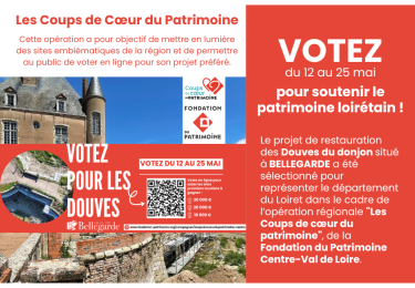 vote bellegarde