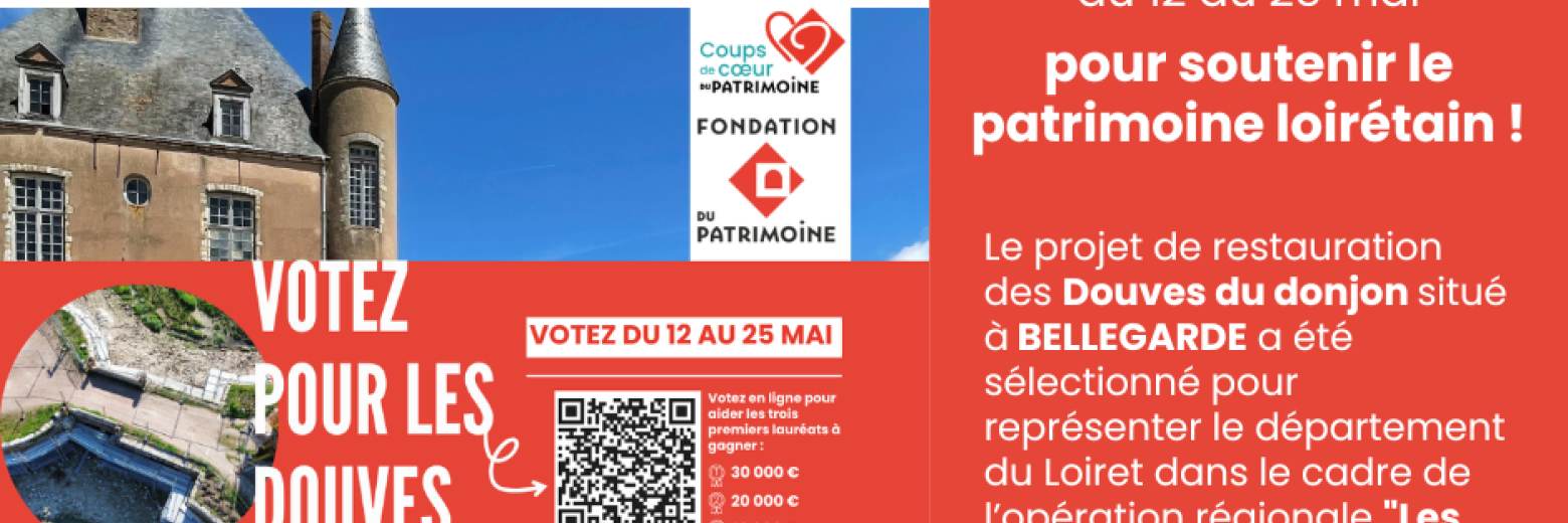 vote bellegarde