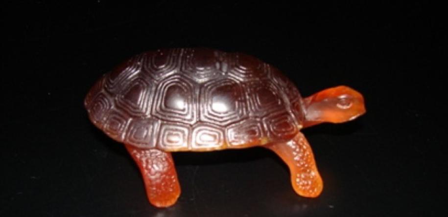 tortue