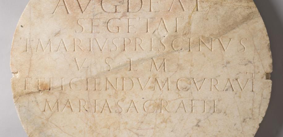 segeta plaque